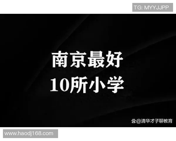 南京乒乓球队实力解析与发展潜力探讨聚焦乒乓球运动的未来之路