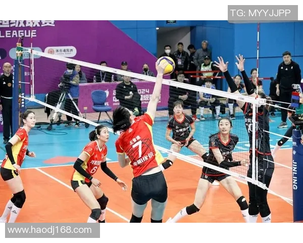 上海排球队的实力分析与未来发展趋势探讨