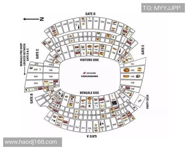 成都网球队在挑战赛中的技术表现分析与点评展望