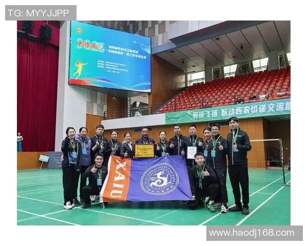 西安羽毛球队进攻策略分析与比赛表现评估探讨